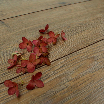 Ламинат Swiss Krono Arto 33 кл 8 мм 4V 7062 Дуб Кассель