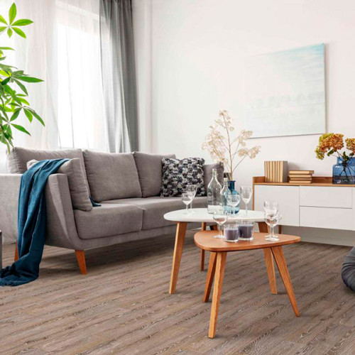 Линолеум Juteks Magnit Gotick Oak-2