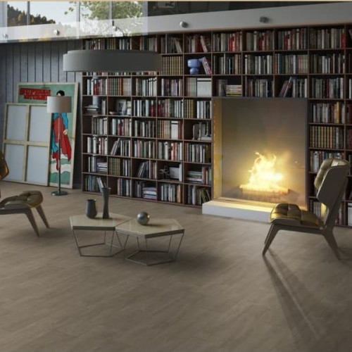 Линолеум Tarkett (Таркетт) Triumph Master oak 2