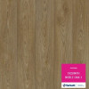 Линолеум Tarkett (Таркетт) Triumph Noble oak 3
