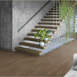 Линолеум Tarkett (Таркетт) Triumph Noble oak 3