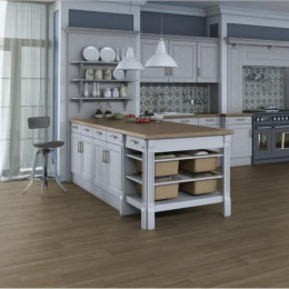 Линолеум Tarkett (Таркетт) Triumph Superior oak 1