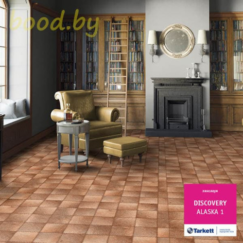 Линолеум Tarkett (Таркетт) Discovery Alaska-1 (Аляска 1)