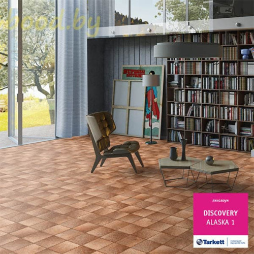 Линолеум Tarkett (Таркетт) Discovery Alaska-1 (Аляска 1)