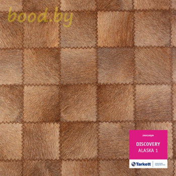 Линолеум Tarkett (Таркетт) Discovery Alaska-1 (Аляска 1)