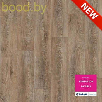 Линолеум Tarkett Evolution Latur 3 (Латур 3)