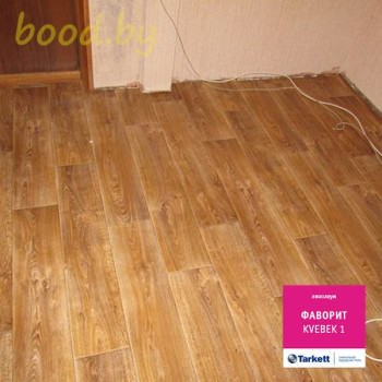 Линолеум Tarkett (Таркетт) Фаворит Kvebek 1 (Квебек 1)
