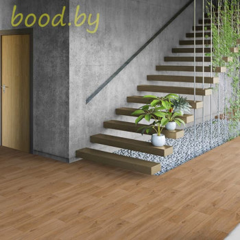 Линолеум Tarkett (Таркетт) Caprice Muskat-5 (Мускат-5)