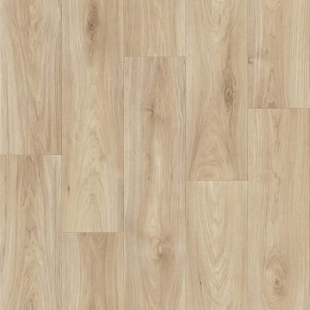 Линолеум Tarkett Комфорт Harvey 2