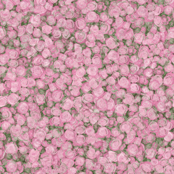 Линолеум Tarkett Fleur Rose-2