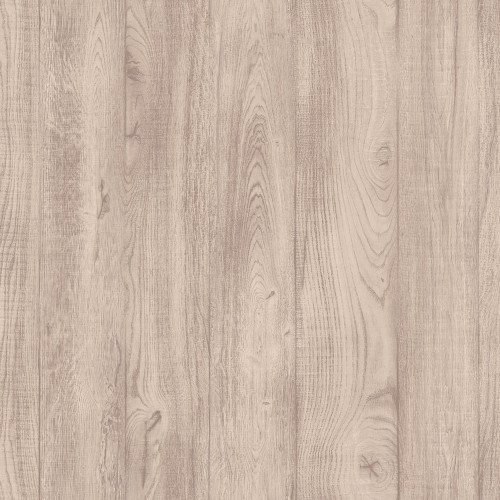 Линолеум Tarkett Philosophy Blanch 1