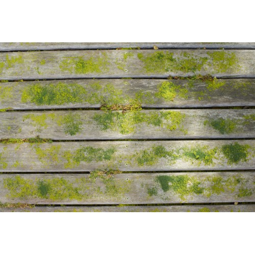 Машина щеточная RYOBI RY18PCB-0 (без батареи) система ONE +