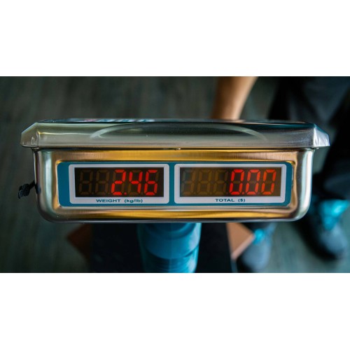 Весы электронные напольные TOTAL TES1202
