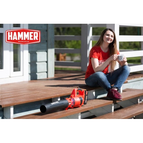 Воздуходувка аккумуляторная Hammer VZD40V