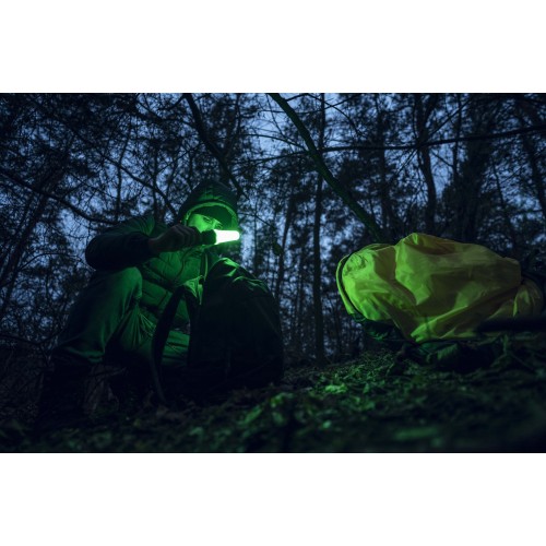 Фонарь Armytek Bear WRG
