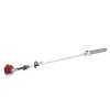 Бензиновый высоторез EFCO PTH 2500-10