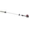Бензиновый высоторез EFCO PTH 2500-10