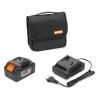 Пила цепная аккумуляторная DAEWOO DACS 3021Li SET