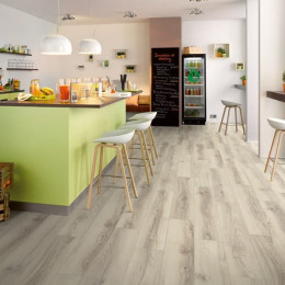 Ламинат Egger Flooring Classic H1083 Дуб Альберта полярный