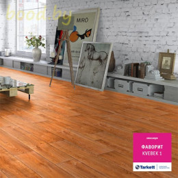 Линолеум Tarkett (Таркетт) Фаворит Kvebek 1 (Квебек 1)