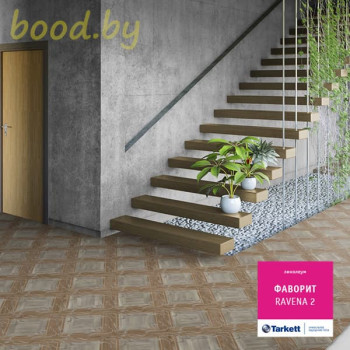 Линолеум Tarkett (Таркетт) Фаворит Ravena 2 (Равена 2)