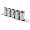 Набор головок Е-профиль 5пр. 1/2''(E12,E14,E16,E18,E20), на планке
