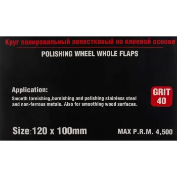 Насадка шлифовальная 120х100мм(Grit 40)