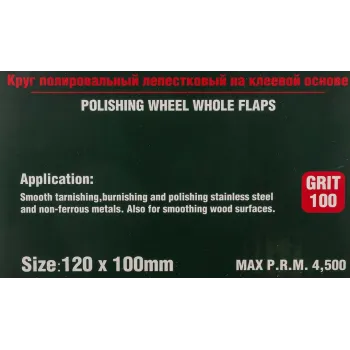 Насадка шлифовальная 120х100мм(Grit 100)