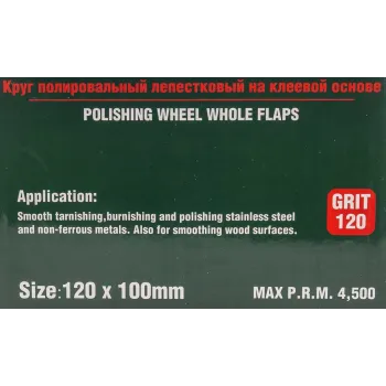 Насадка шлифовальная 120х100мм(Grit 120)