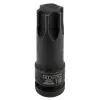 Головка-бита TORX ударная T100,1/2''