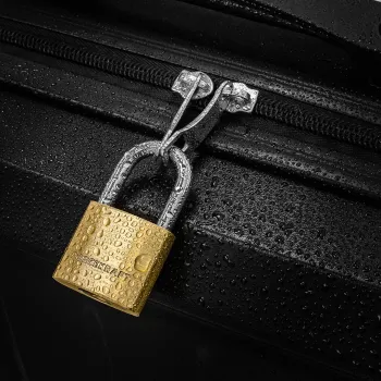 Замок навесной латунный 30мм (дужка 5мм, пространство для замка 22х15мм, 3 ключа) в блистере