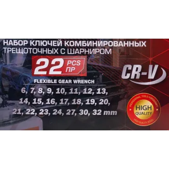 Набор ключей комбинированных трещоточных с шарниром 22пр.