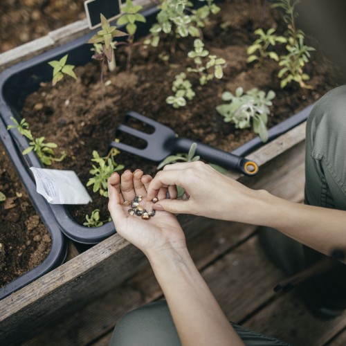 Культиватор садовый Solid FISKARS(1072102/1001600)