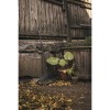 Грабли для листьев L без черенка Solid FISKARS