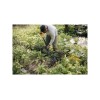 Вилы садово-огородные Solid FISKARS