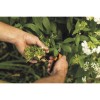 Ножницы для цветов SP13 FISKARS
