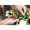 Ножницы для цветов SP13 FISKARS