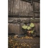 Грабли для листьев M Solid FISKARS