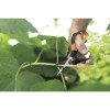 Ножницы для цветов SP15 Solid FISKARS