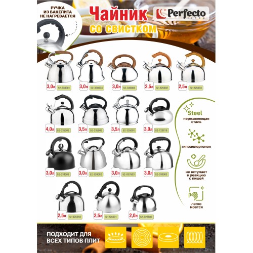 Чайник со свистком, нержавеющая сталь, 2.5 л, Melissa, PERFECTO LINEA
