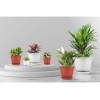 Горшок для цветов с подставкой, 2,9 л., Борнео, терракотовый, InGreen