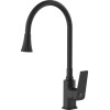 Смеситель для кухни (Lt) D35, серия WIN (black) AV Engineering