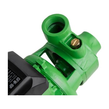 Насос садовый ECO GFW-8P
