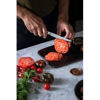 Нож для томатов 12 см цельнометаллический All Steel Fiskars