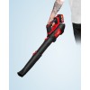Аккум. воздуходувка WORTEX BB 1218-1 D XLT SET БЕСЩЁТ., 18В, 440-720 м.куб/ч, 92-152 км/ч