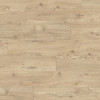 Ламинат Egger Pro Classic EPL142 Дуб Ольхон песочно-бежевый