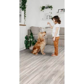 Линолеум Ideal Glory (Глори) Modest-1 (Модест-1) (1.5 м)